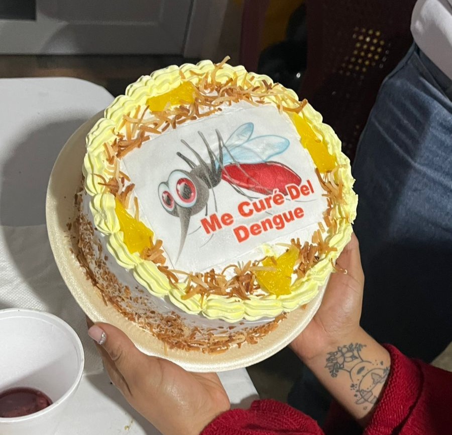 Pastel Diseño Mosquito